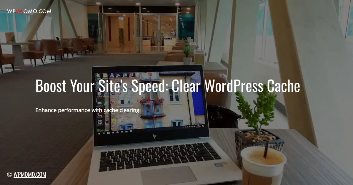 How to clear cache on WordPress