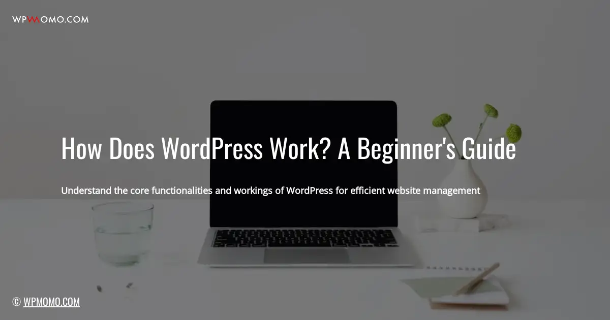 How Does WordPress Work? A Beginner’s Guide